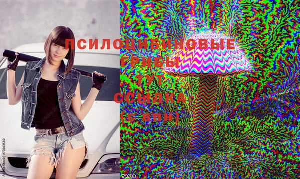 сатива Армянск