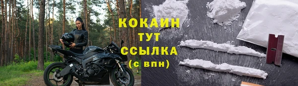 сатива Армянск