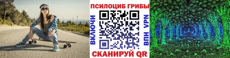 Купить закладки  Сунжа  Псилоцибиновые грибы Psilocybine cubensis 